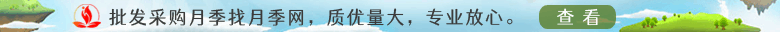 货架网