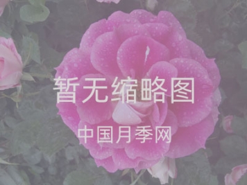 便利店选址条件有哪些？